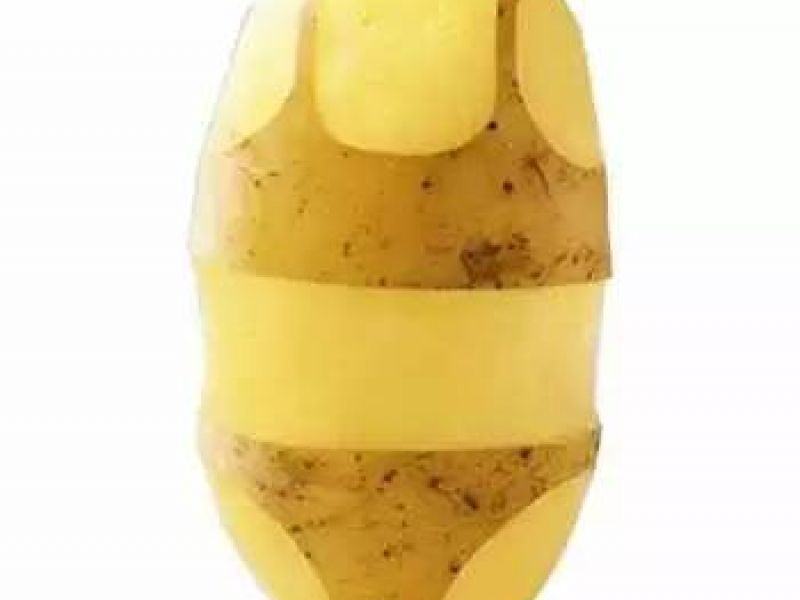 燃氣灶總是油膩膩的，這些妙招簡單又有效！